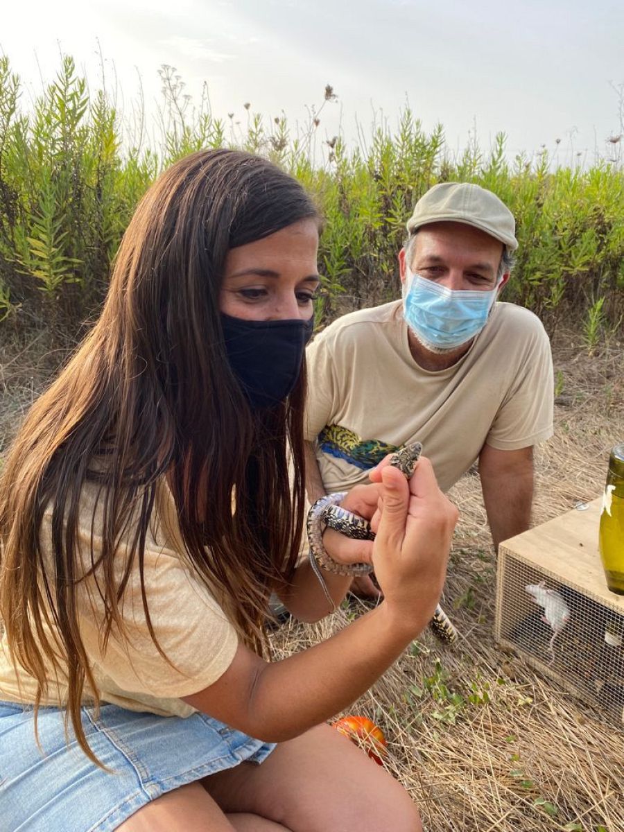Evelyn Segura cogiendo una Culebra de Herradura