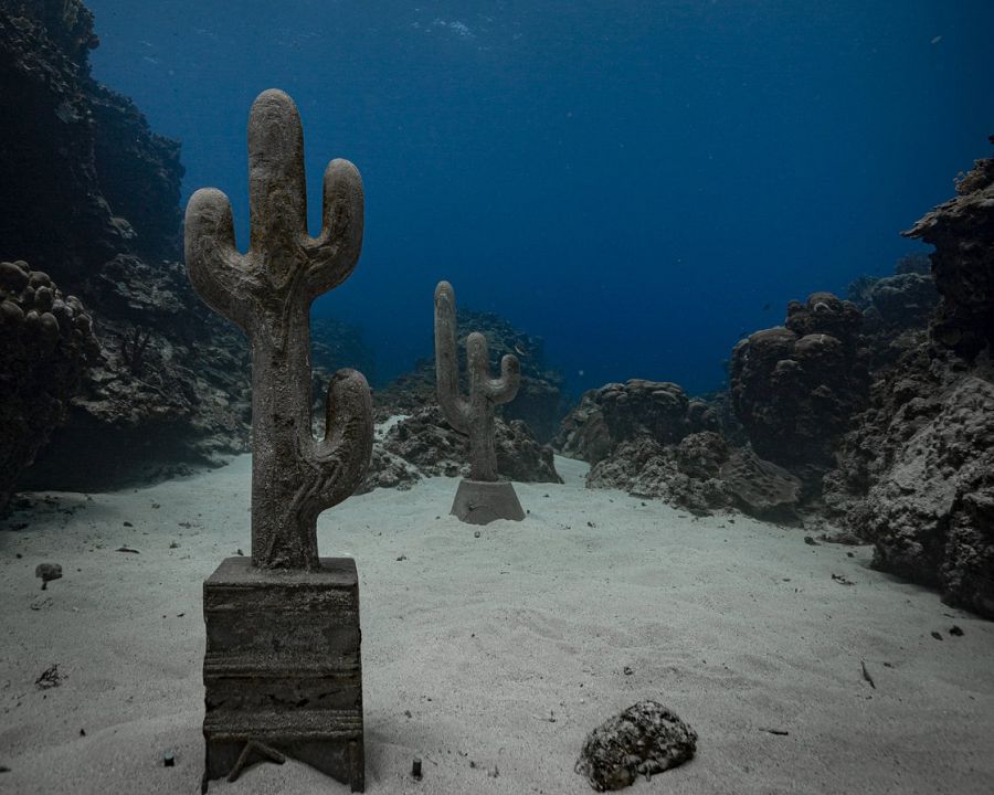 Serie de cactus submarinos en el Santuario de peces de East Portland, Jamaica, de Claudia Comte