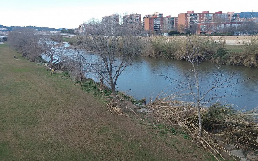 El río Besòs, antes uno de los ríos más contaminados de Europa y donde ya se llevó a cabo una primera renaturalización