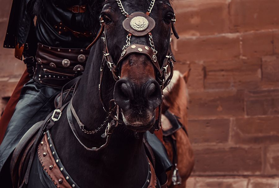 Caballero a lomos de un corcel negro