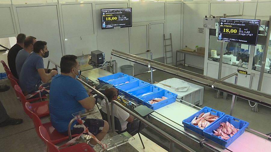 Lonja de Conil de la Frontera