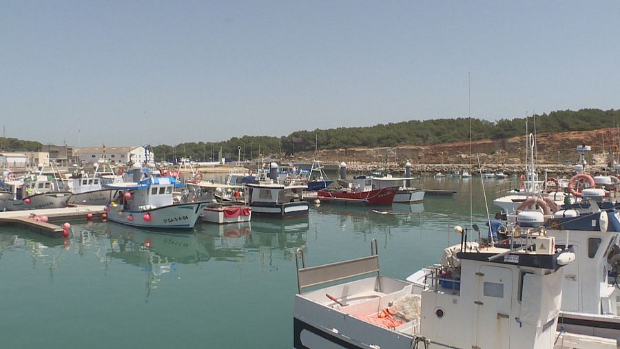 Puerto de Conil de la Frontera