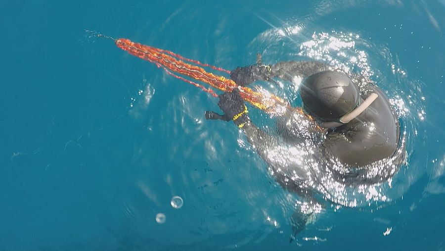 La pesca submarina es objeto de muchas críticas