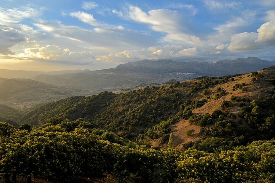 Sierra de Grazalema