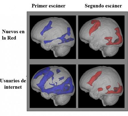 En el segundo escáner se ve como los novatos en internet han mejorado su actividad mental tras una semana navegando por internet.