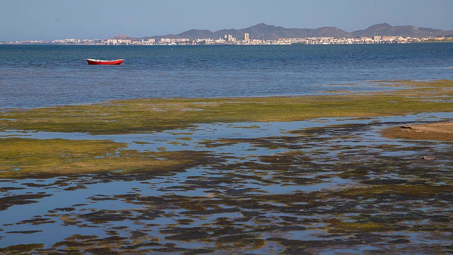 Desde años el Mar Menor sufre contaminación