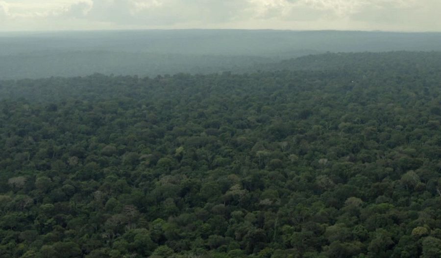 Amazonía brasileña