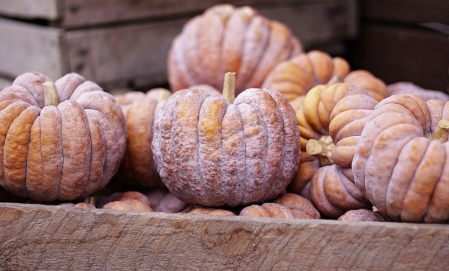 Calabazas difíciles de pelar