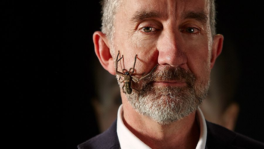 Serie documental 'La mente curiosa'