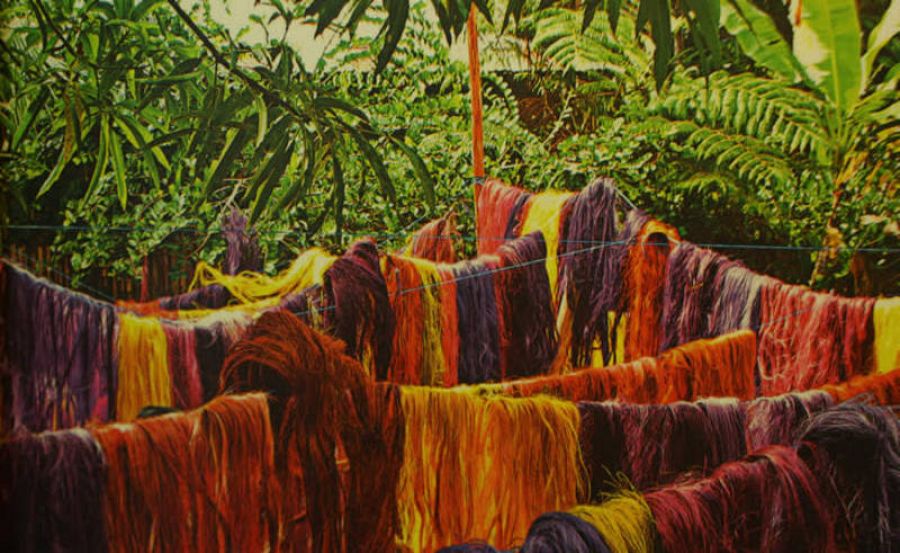 Color Amazonia, de Susana Mejía