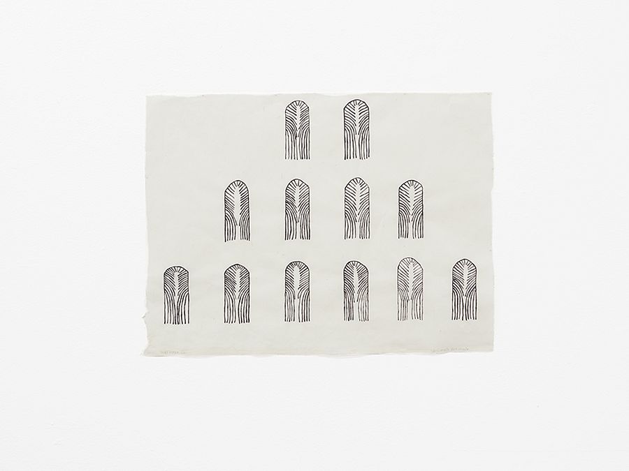 Sheroanawe Hakihiiwe (Amazonas, 1971)