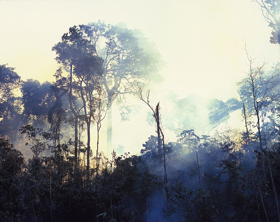 Paradise Burning (Paraíso en llamas), de Sergio Vega