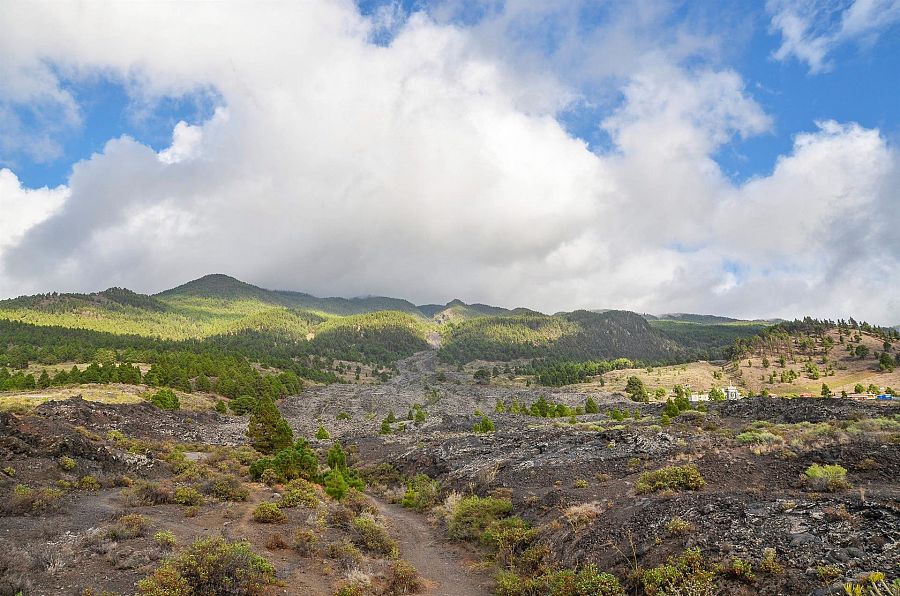 Vista del parque natural de Cumbre vieja desde la colada del volcán de San Juan, que hizo erupción en 1949.