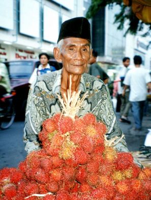 Vendedor de rambután