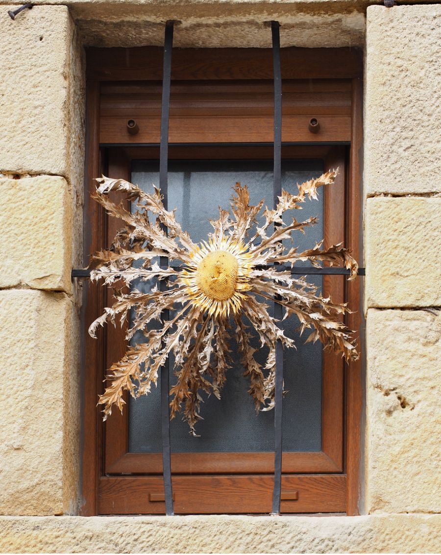 Flor de Eguzkilore en una ventana