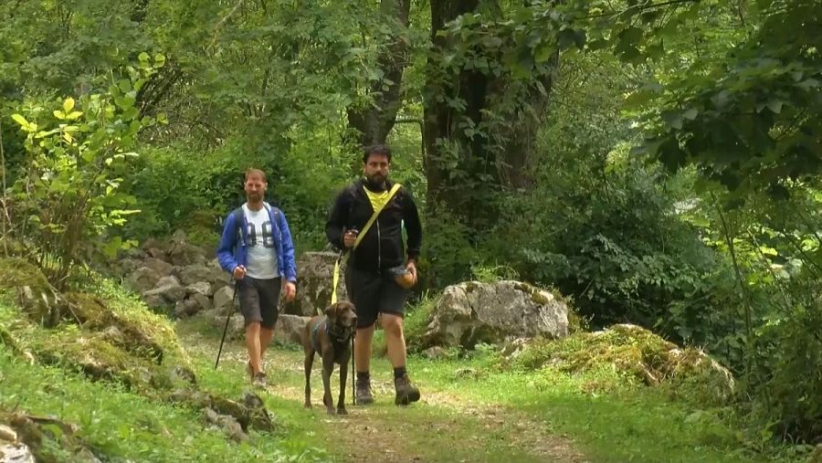 Senderistas en uno de los caminos en las proximidades de Bulnes.