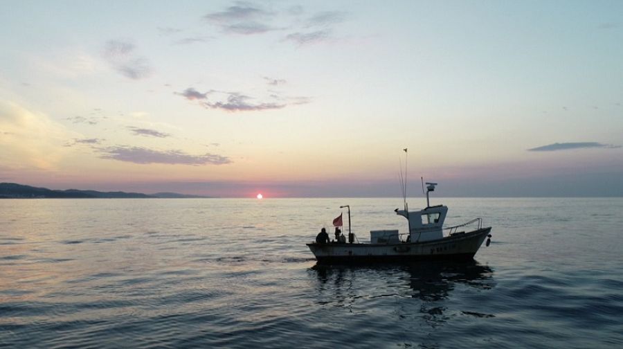 Realizando pesca de palangre