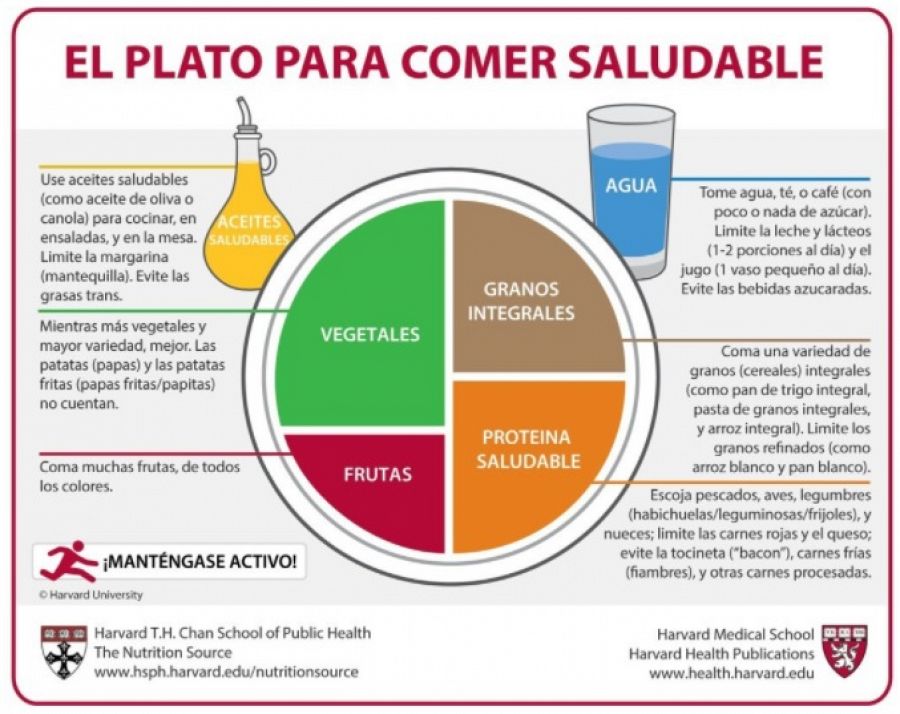 ¿Qué es la dieta Harvard?