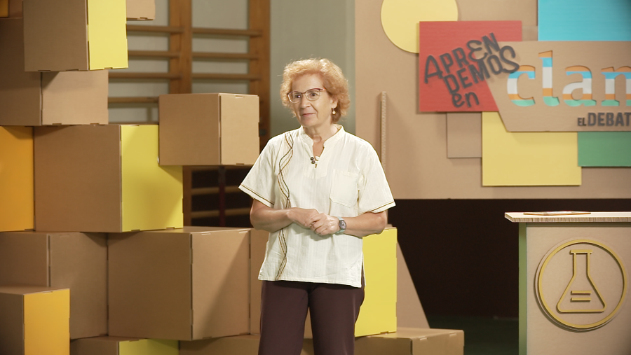 Margarita del Val, investigadora científica, viróloga e inmunóloga que actualmente dirige la Plataforma Salud Global del CSIC contra la Covid-19