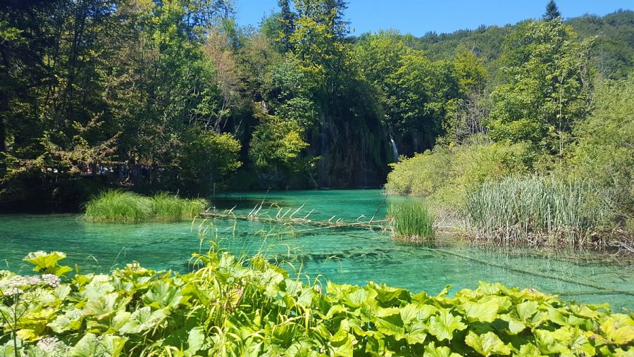 El agua turquesa de uno de los lagos de Plitvice