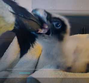 Reduce tu huella: Salvando el paraíso