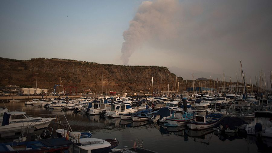 Barcos sin actividad en el puerto de Tazacorte