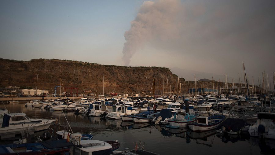 Barcos sin actividad en el puerto de Tazacorte