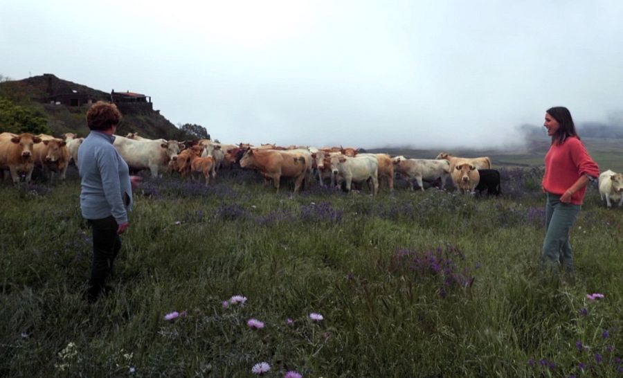 Ganadería ecológica