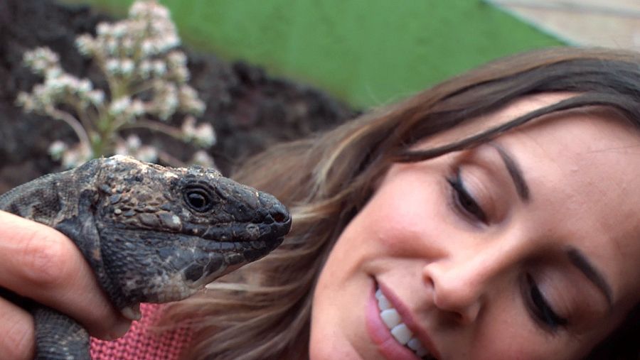 El Hierro: agua, viento y tierra