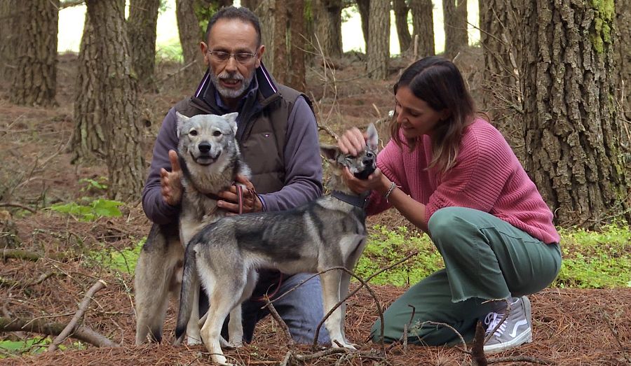 El Hierro: agua, viento y tierra