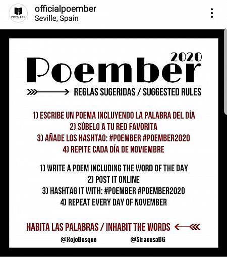 Reglas sugeridas del reto de Poember