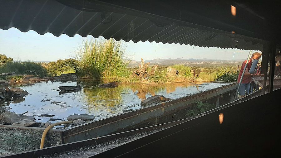 Fotografia de naturaleza