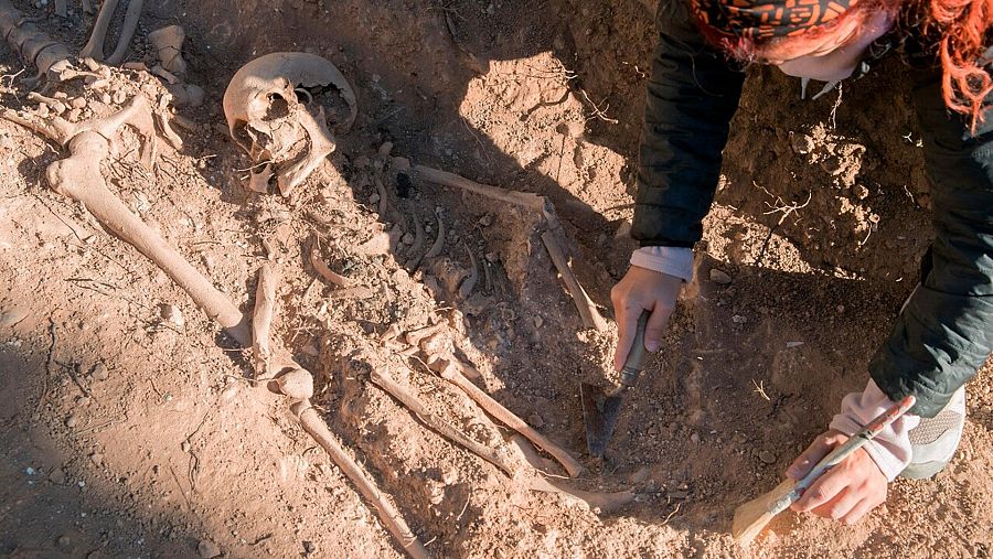 Restos humanos encontrados en la fosa del cementerio de Belchite, en Zaragoza. EFE/Javier Cebollada
