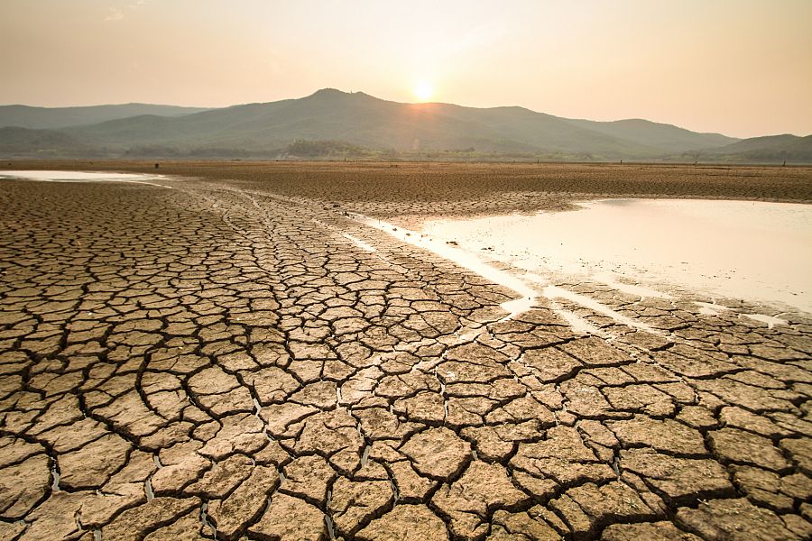 Impacto de la sequía y el cambio climático