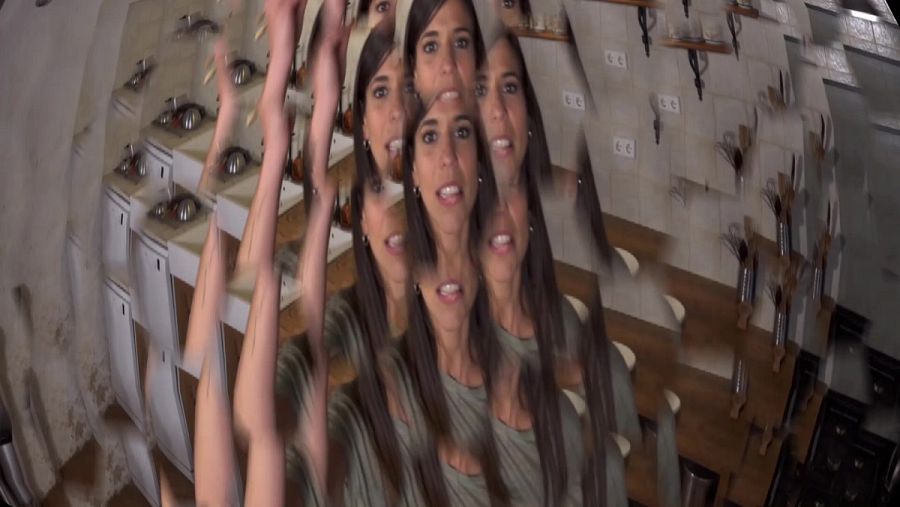 Simulación de la vista de una mosca