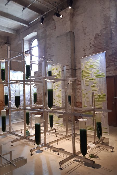 BIT.BIO.BOT. (2021), de Ecologicstudio (Italia)