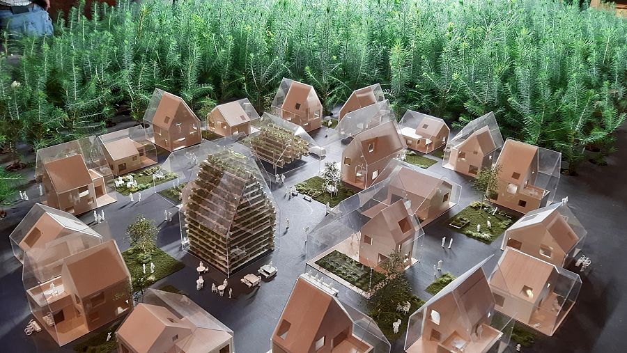 Ego to Eco: Learning from Nature (2020), de EFFEKT (Dinamarca)