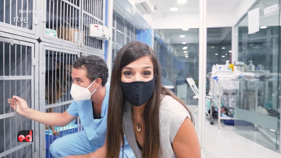 Evelyn Segura en la clínica veterinaria