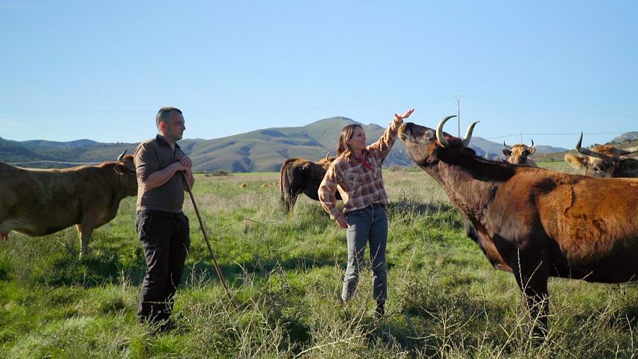 El Bierzo: Adiós al carbón, volviendo a nacer