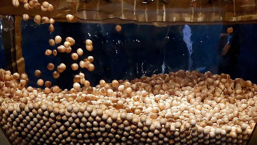 Agotada la Lotería de Navidad con fecha de erupción del volcán