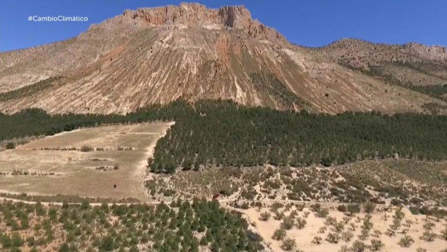 Informe Semanal - Acciones contra el cambio climático