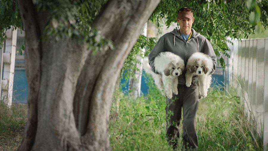 RTVE Play estrena el documental 'Mi gran pequeña granja'