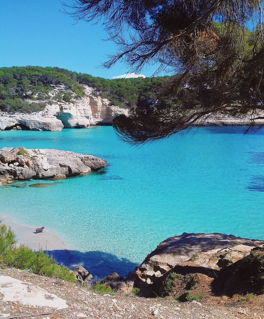 El clima es cálido, sin el sofocante calor del verano, por lo que podrás descubrir un amplio abanico de posibilidades para disfrutar al aire libre