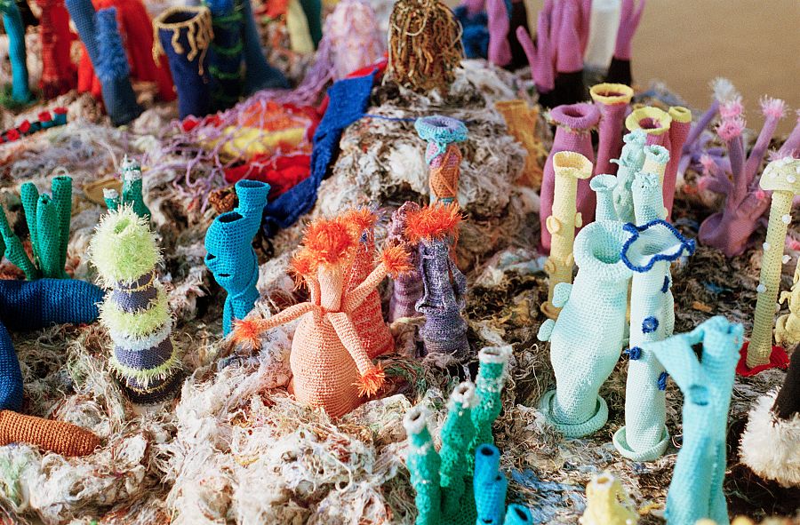  Lady Musgrave Reef (2002-2021) de Petra Maitz