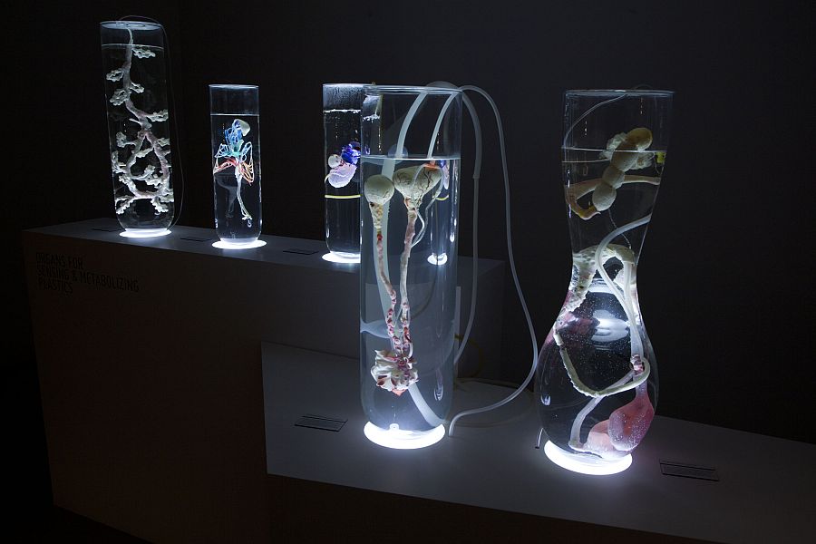 Ecosystem of Excess (2014), de Pinar Yoldas