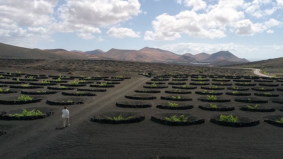 Islas Canarias y cambio climático