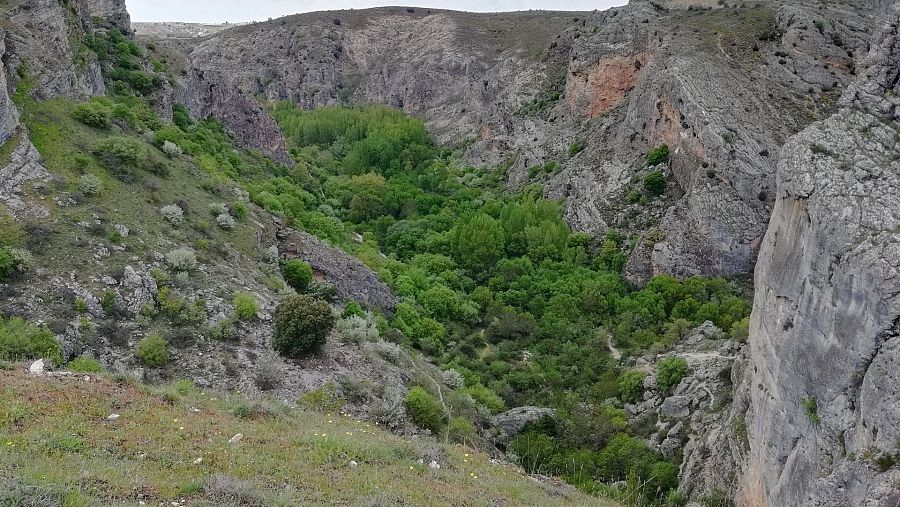 Barranco del río Dulce.