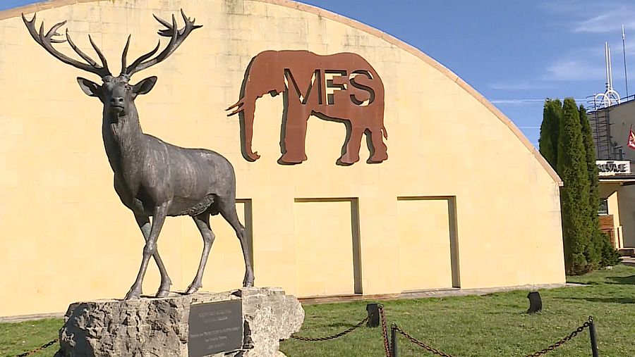 Museo de la Fauna Salvaje | Turismo rural