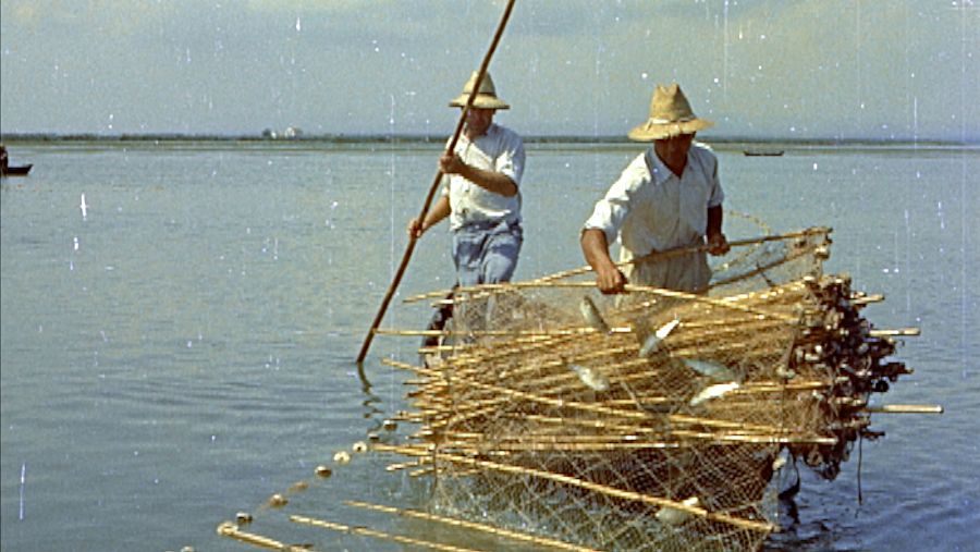 La Albufera de Valencia