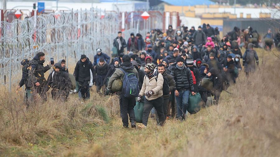 Un grupo de migrantes camina junto a la valla que separa Bielorrusia de Polonia, en la región bielorrusa de Grodno. Foto: Leonid Scheglov/BelTA/via REUTERS 